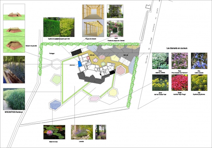 Jardin d'une maison de campagne : plan d'amenagement